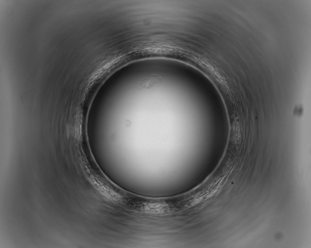 X0000101180446200806271255