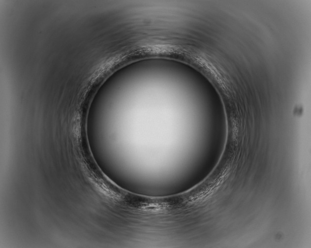 X0000101180447200806271255