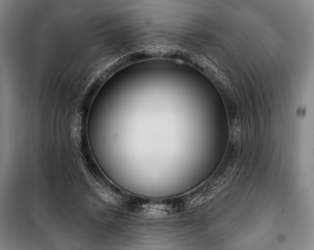 X0000101180448200806271255