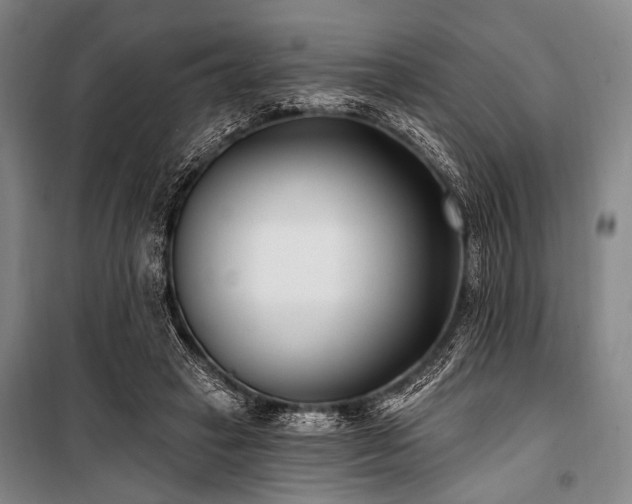 X0000101180449200806271255