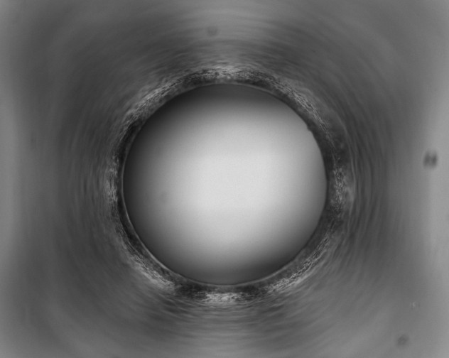 X0000101180450200806271255