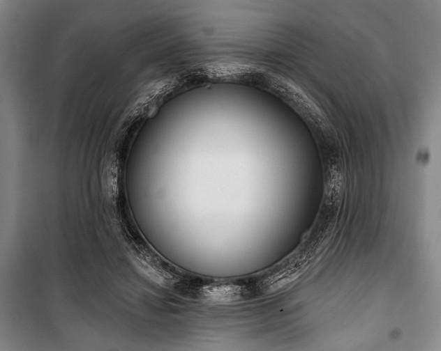 X0000101180452200806271255