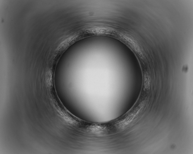 X0000101180453200806271255