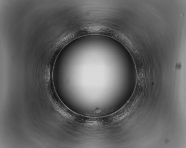 X0000101180454200806271256