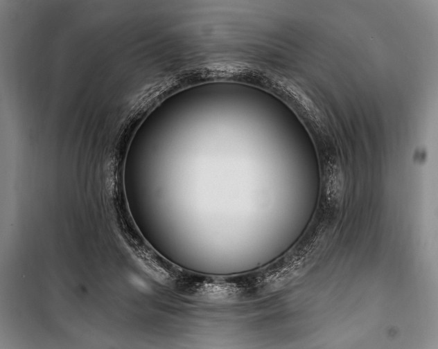 X0000101180455200806271256