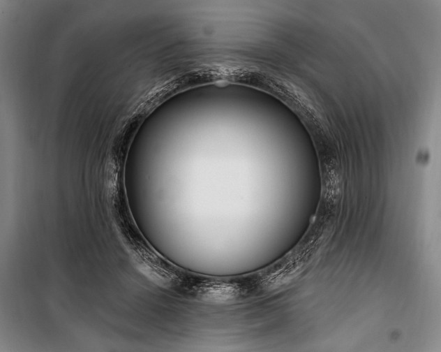 X0000101180456200806271256