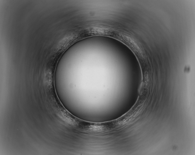 X0000101180457200806271256