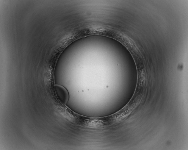 X0000101180463200806271256