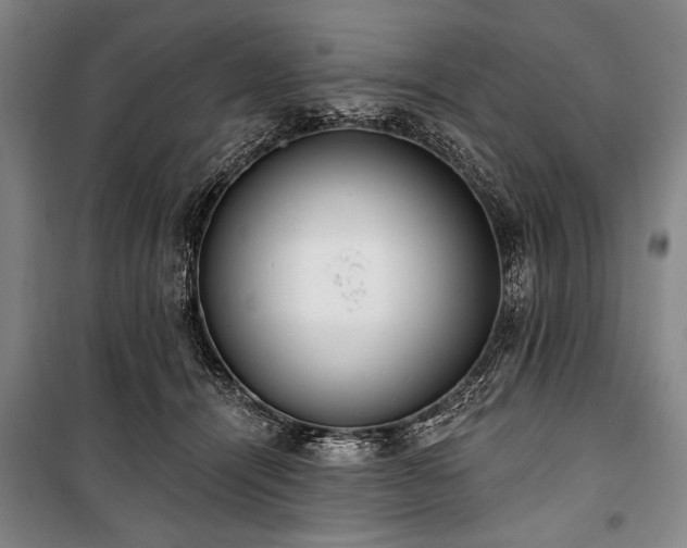 X0000101180464200806271256