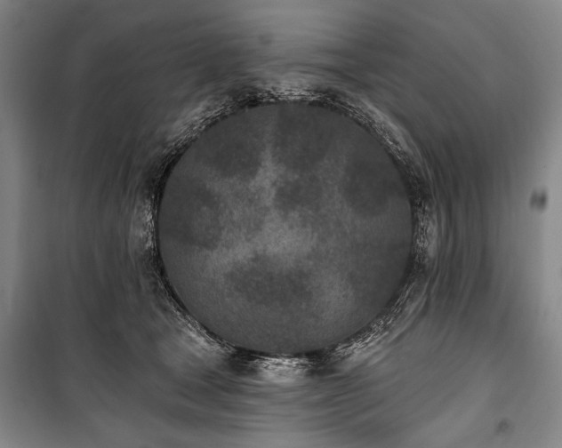 X0000101180465200806271256