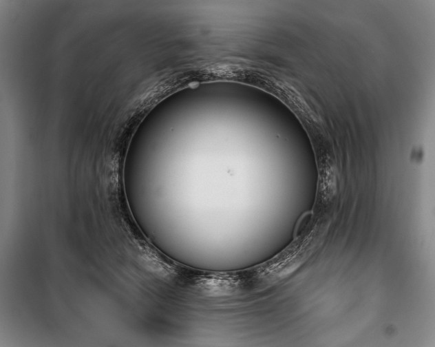 X0000101180466200806271256