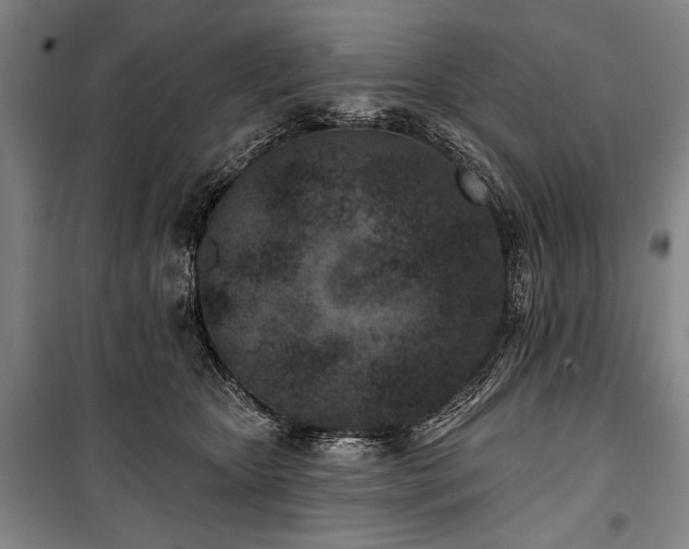 X0000101180467200806271256
