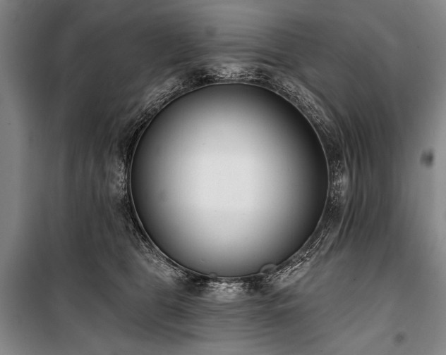 X0000101180469200806271256