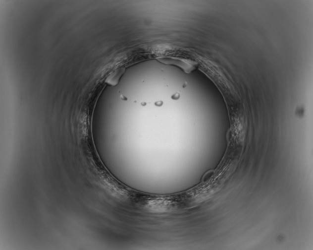 X0000101180470200806271256
