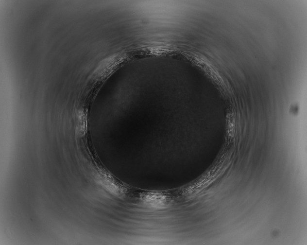 X0000101180471200806271256