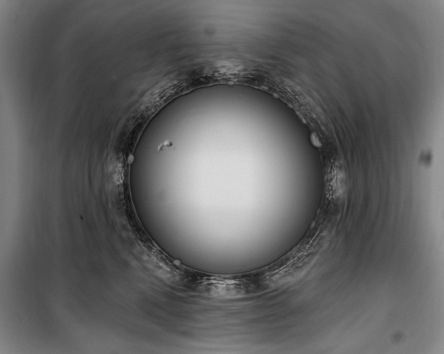 X0000101180472200806271256