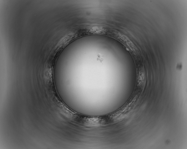 X0000101180473200806271256