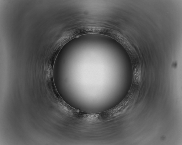 X0000101180474200806271256