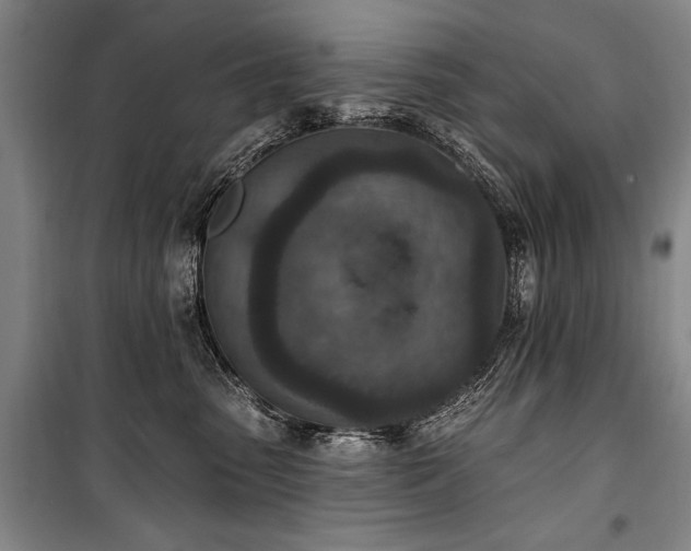 X0000101180475200806271256