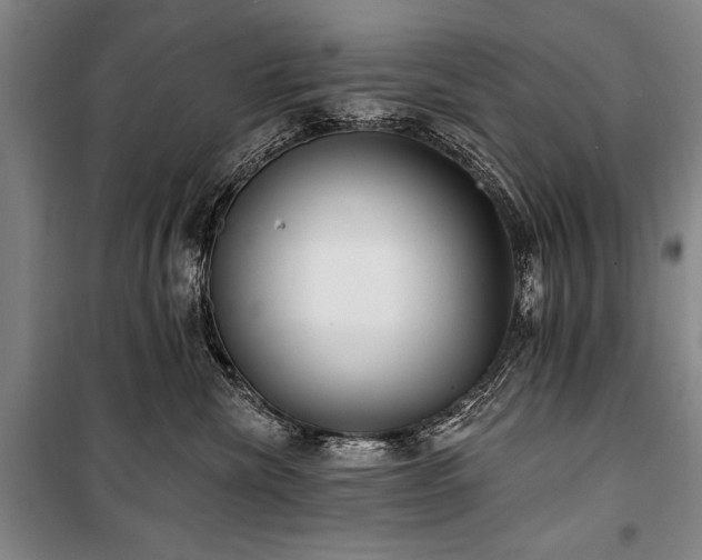 X0000101180476200806271256