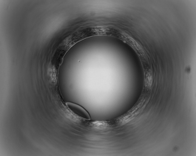 X0000101180477200806271256