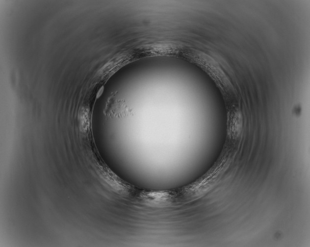 X0000101180478200806271256