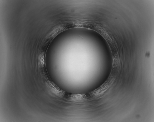 X0000101180479200806271256