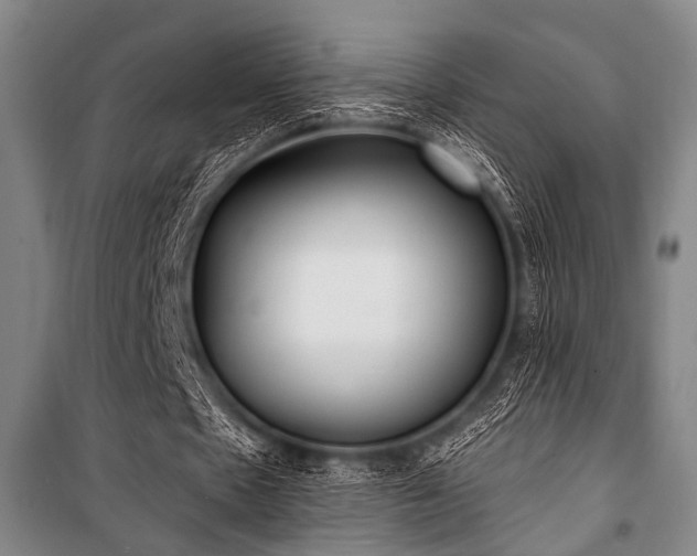 X0000101180481200806271255