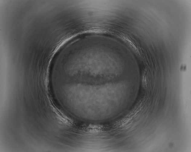 X0000101180484200806271255