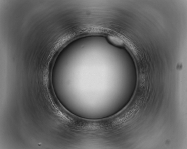 X0000101180485200806271255
