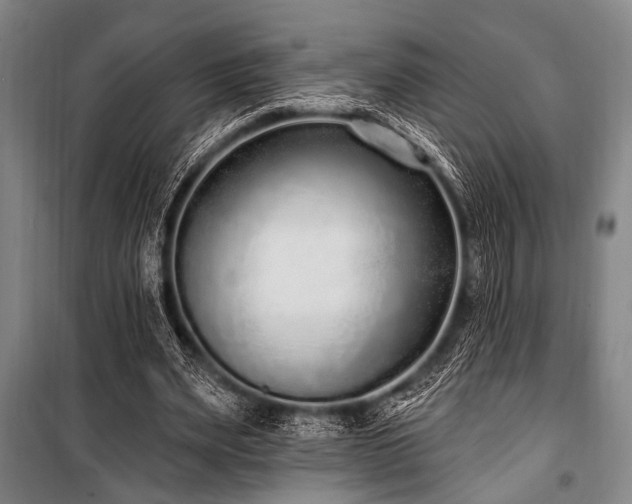 X0000101180487200806271255