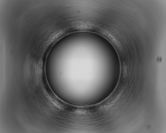 X0000101180490200806271255