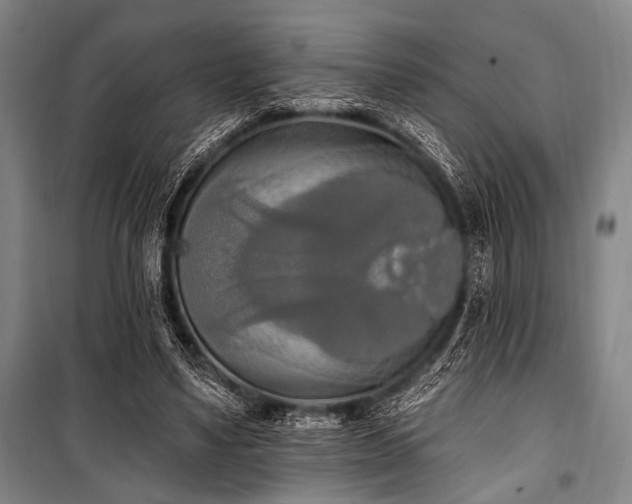 X0000101180491200806271255
