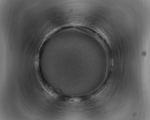 X0000101180492200806271255