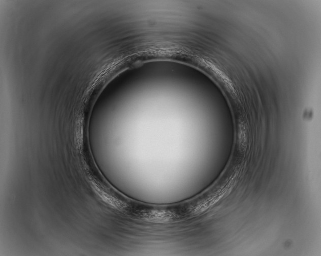 X0000101180493200806271255