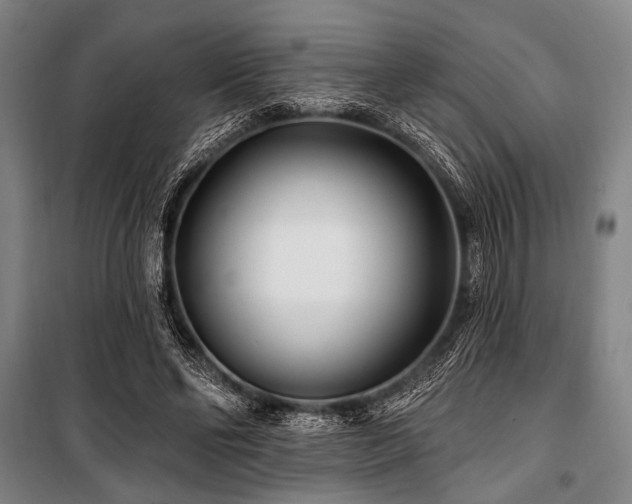 X0000101180494200806271255