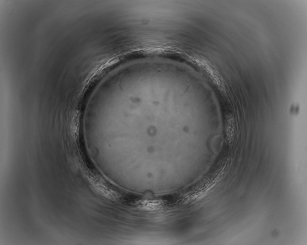 X0000101180495200806271255