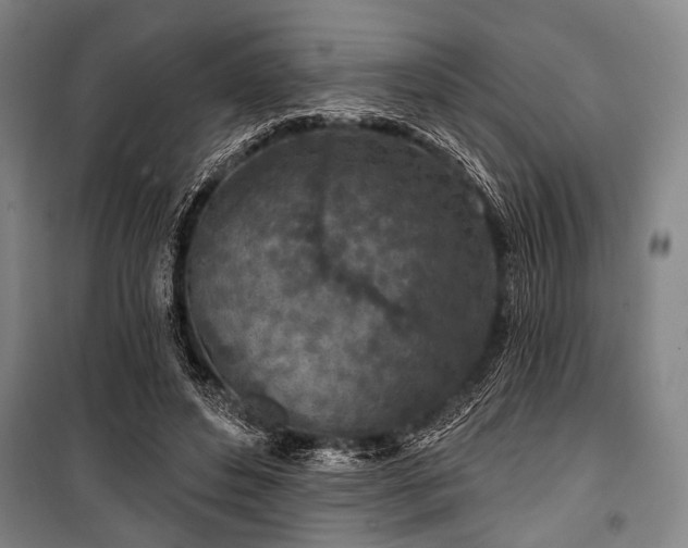 X0000101180496200806271255