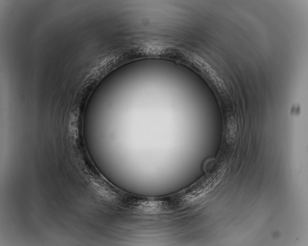 X0000101180497200806271255