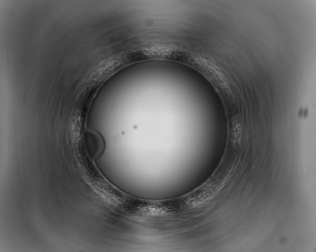 X0000101180498200806271255
