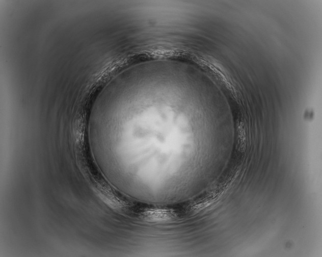 X0000101180499200806271255
