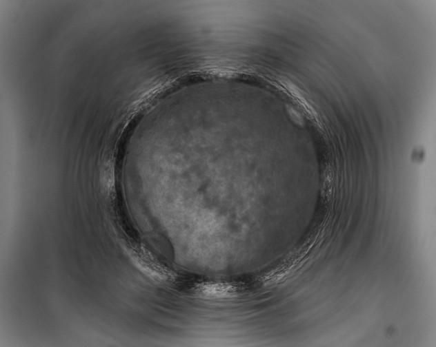 X0000101180500200806271255