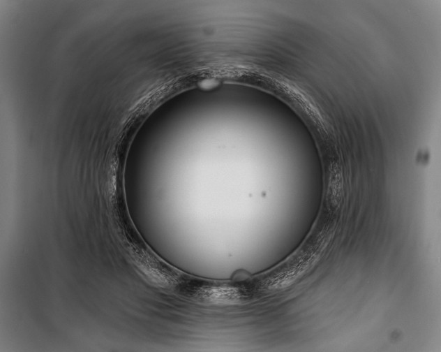 X0000101180501200806271255