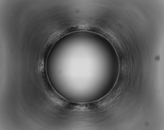 X0000101180502200806271255