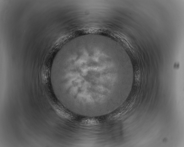 X0000101180503200806271255