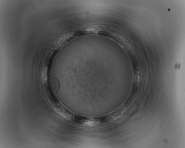 X0000101180504200806271255
