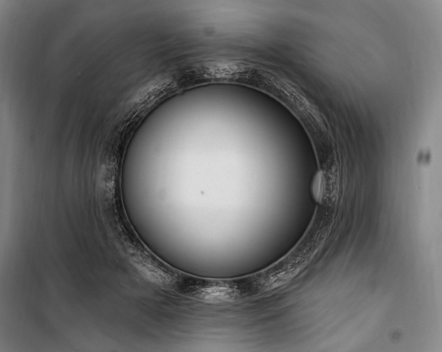 X0000101180505200806271255
