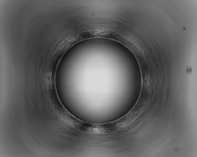 X0000101180506200806271255