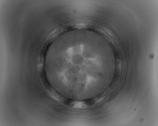 X0000101180507200806271255