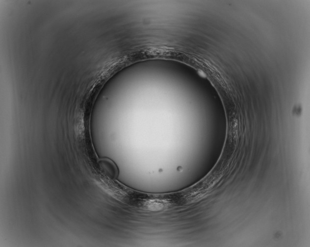 X0000101180508200806271255